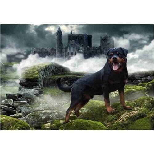 Full diy diamond embroidery diamond painting cross stitch Rottweiler dog 5d mosaic pictures of rhinestone home decorationZP-211