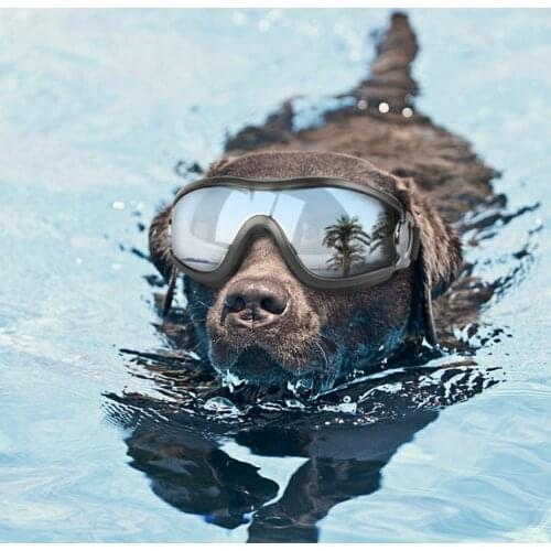 Fashion Pet Dog Goggles Anti-UV Sun Glasses Eye Wear Protection Waterproof Windproof Adjustable Sunglasses Pet Dog Supplies