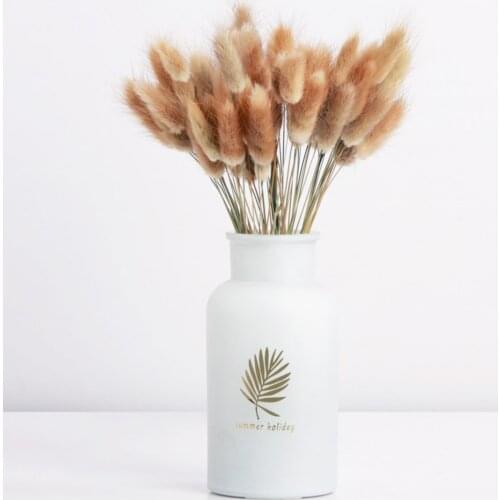 50 pcs Natural Dried Flowers Bunch Rabbit Tail Grass for Home Wedding Decoration Real Flower Bouquet NO VASE