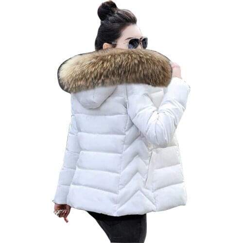 Женские дутые куртки FGHGF China At AliExpress