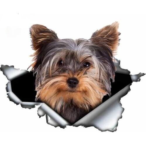 13cm X 12.6cm Yorkshire Terrier Vinyl Personality Sticker Torn Metal Decal Animal Car Stickers Window Bumper Pet Dog Car Styling