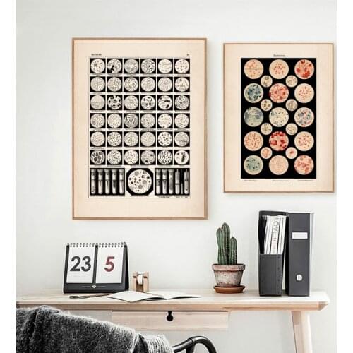 Microbiology Bacteria Microbe Art Print Old Medicine Poster Science Wall Art Pictures Canvas Painting Biology Study Office Decor