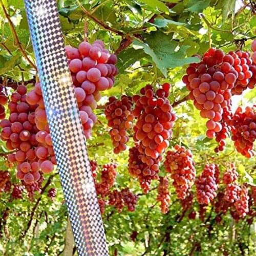 Bird Repellent Deterrent Scare Tape Dual-sided Reflective and Holographic Keep Birds Away for Grackles, Woodpeckers