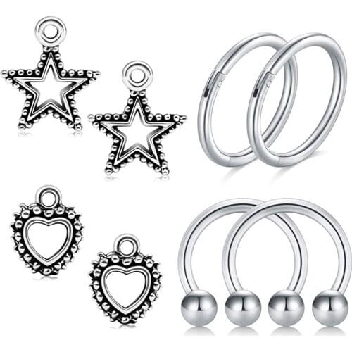 Earlobe Anti Helix Conch Rook Tragus Piercing Cartilage Earrings Nose Septum Rings Hoop Pack Body Jewelry 20G 18G 16G