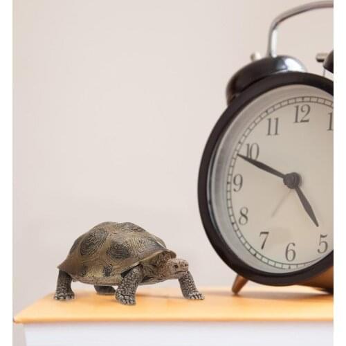 3.4inch Tortoise Wild Life Animal Toy Turtle Figure 14601 Made Of High Quality Plastic & Hand Painted High Quality