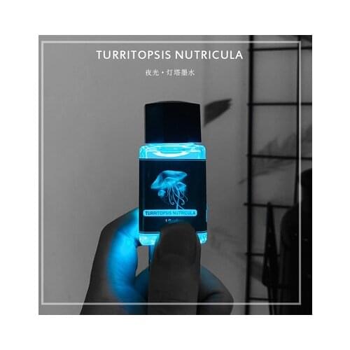 Invisible Ink Creative Fluorescent Ink For Fountain Pen With UV Light Torch