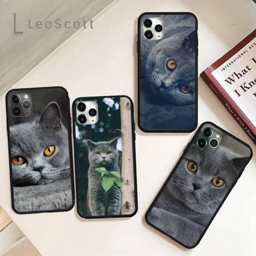 Webbedepp British Shorthair cat Phone Case Cover Fundas for iPhone 11 12 pro XS MAX 8 7 6 6S Plus X 5S SE 2020 XR