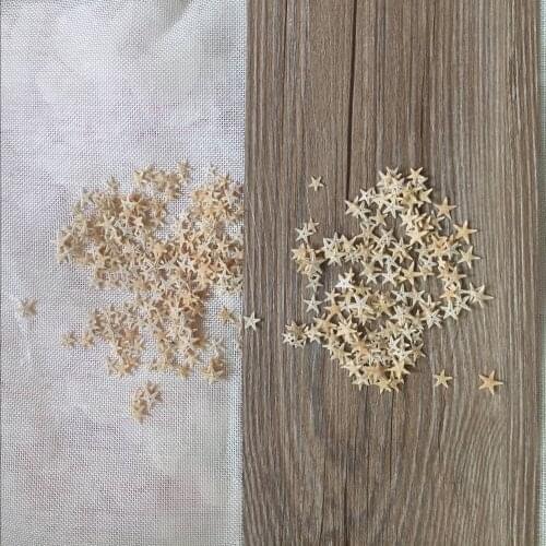 HappyKiss 100pcs 1-2cm 2-3cm Mini Starfish Craft Decoration Natural crafts Sea Stars DIY Beach Cottage Wedding Decor hot new