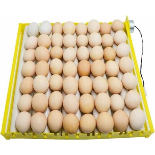 Plastic Eggs Incubator Accessories Durable Rotary Automatic Roller Pattern Egg Turner Tray Household Egg Tray