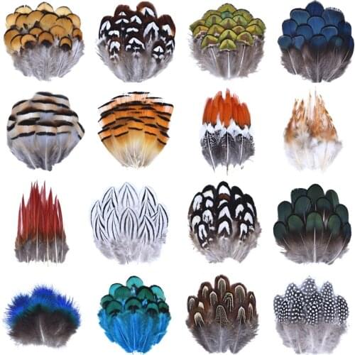 Wholesale Natural Peacock Pheasant Feather Ostrich Plumes for Needlework and Handicrafts Headdress Small Decor Jewelry Creation