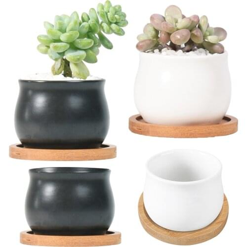 Succulent Plant Pot Flowerpot Plant Potted Belly-shaped Indoor Ceramic Green Dill Flowerpot with Bamboo Wooden Tray Home Decor