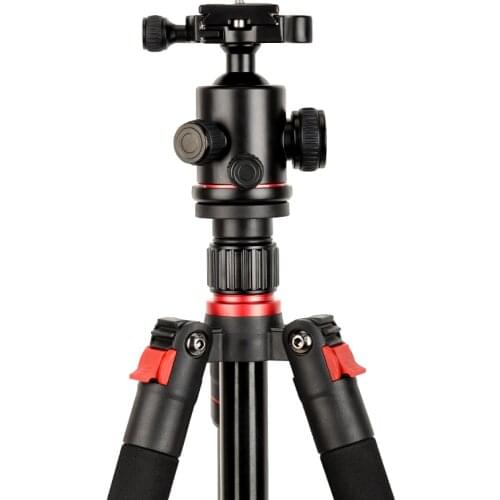 Professional Compact Camera Tripod with Phone Mount 165CM DSLR Tripod for Travel Lightweight Ball Head Tripod Monopod Stand