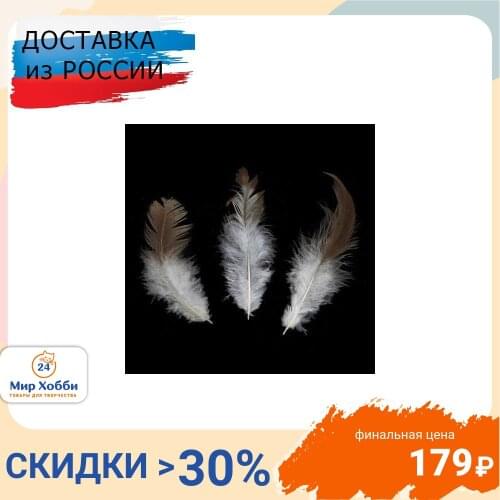 Декоративные перья Астра China At AliExpress