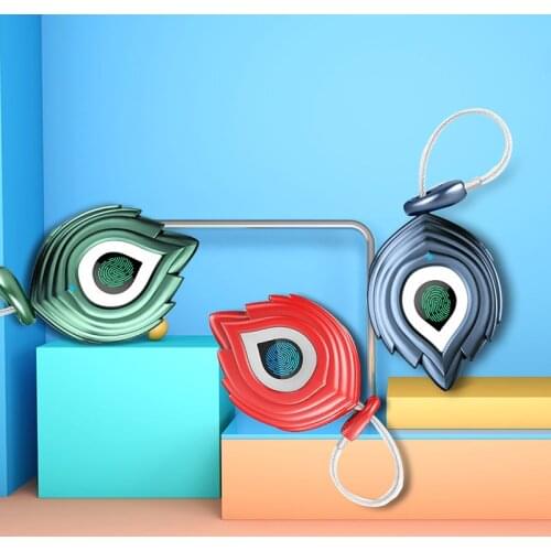 Co-He Fingerprint Padlock Backpack Padlock Travel Bag Padlock Trunk Padlock Convenient to Carry, Safe and Reliable G12