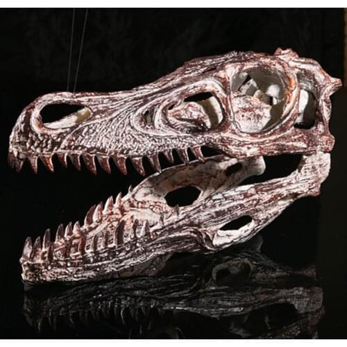 Velociraptor Skull, Dinosaur Polystone Statue, Scale 1/1 Fossil Resin Dinosaur Skull Model