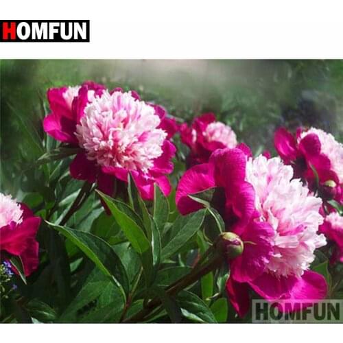 HOMFUN Full Square/Round Drill 5D DIY Diamond Painting "peony flower" 3D Diamond Embroidery Cross Stitch Home Decor A20250