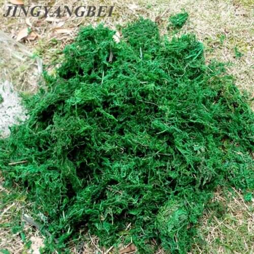 Natural 50g-100g bag dry real green moss decorative plants vase artificial turf silk Flower accessories for flowerpot decoration