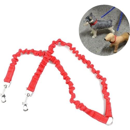 Adjustable 2 in 1 Retractable Nylon Dog Leash Couple 2 Way Pet Double Leash for Walking Two Small Dogs Teddy