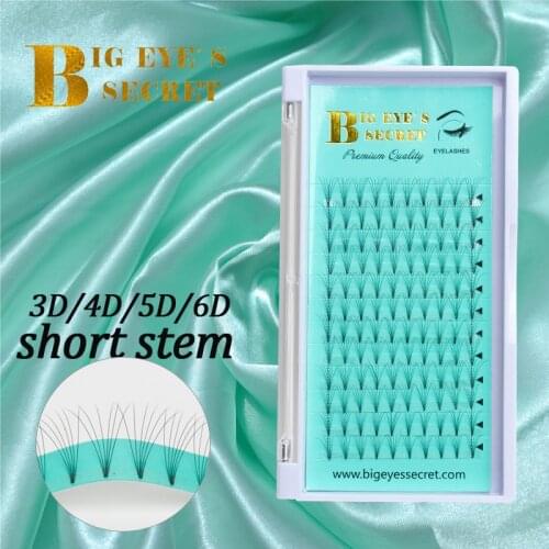 Big eyes secret Lashes Premade Volume Fans 3d/4d/5d/6d Lash Pre made Faux Mink Lash Extension Russian Volume Eyelash Extensions