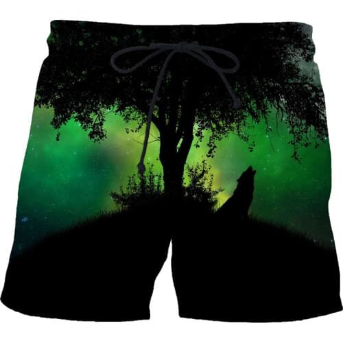 BIAOLUN Men's Beach Shorts