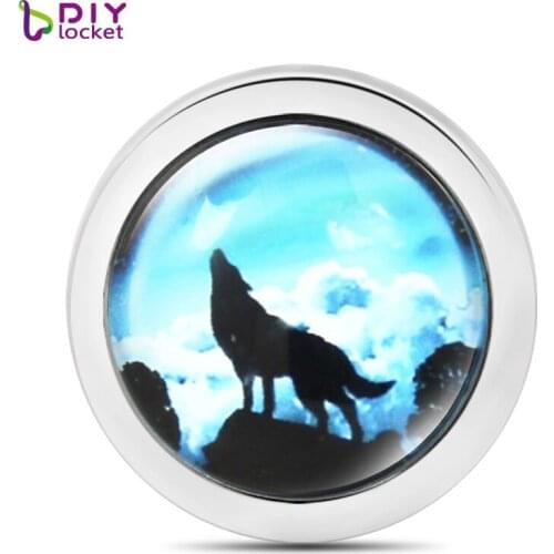 Wolf Glass Coins Pendant For Moneda pendant/ Coin frame/coin disc/Mentun locket 5pcs/lot (3 style to choose) MICO269-271*5