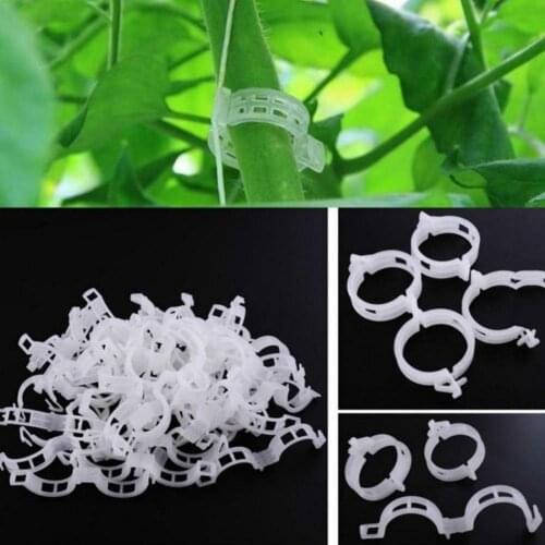 20pcs Garden Vegetables Tomato Vine Stalks Grow Upright Clip Support Fixed Clips Support Tools Plant Agriculture Plant Hang I9O0