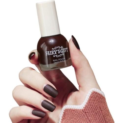 10ml Matte Nail Polish Water-proof Dry Quickly Resin Matte Nail Polish Set for Beauty Colorful Gel Nail Polish Nail Accessories