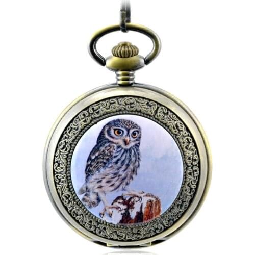 Brown Antique Skeleton Mechanical Hand Wind Pocket Fob Watches Mens Womens Watch Pendant Necklace Gift Roman Retro Owl Pattern