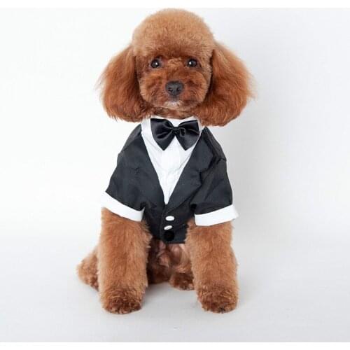 Pet Dog Clothes Prince Wedding Suit Cute Gentleman Cachorro Mascotas Chihuahua Tuxedo Bow Tie Puppy Coat 5Size Supplies Pet