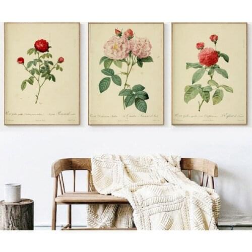 Antique Botanical Canvas Art Posters Prints Vintage Flowers Rose Wall Painting Pictures for Living Room Home Office Decor A3 A5
