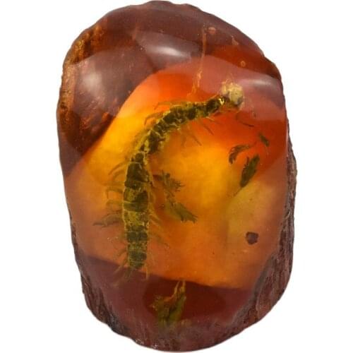 Amber specimen, small animal, living protolith, centipede, insect and rare fossil ornament