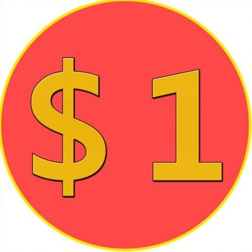 Extra Fee/cost just for the balance of your order/shipping cost