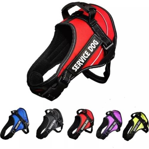 Dogs Chest Harness, Traction Rope, Dog Chain, Dog Leash, Wear-resistant Size Adjustable, Convenient for Travel, Pet Supplies