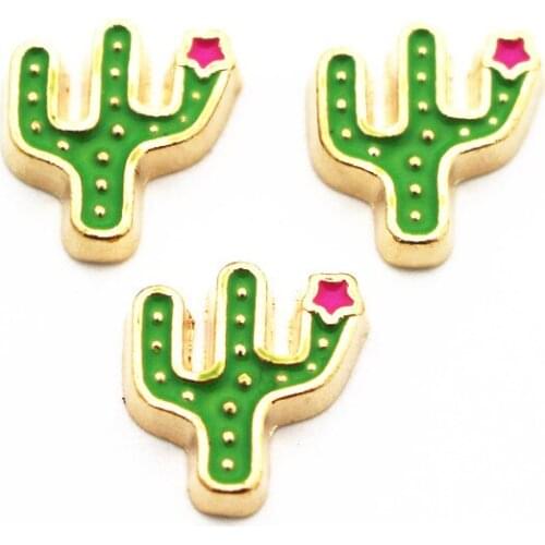 New Arrival 10pcs/lot Cactus floating charms charms living glass memory lockets Accessory diy jewelry