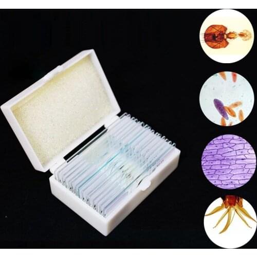 15 PCS Professional Medical Study Prepared Animals and Plants Slices Flora and Fauna Specimen Scetion Microscope Slides