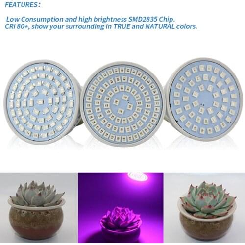 Hydroponic system 2019 LED Grow Light Bulb 120W E27120 Leds Full Spectrum LED Bulb for Indoor Lighting Garden Plants Greenhouse