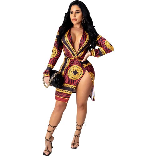Womens Printed Long Sleeve Casual V-Neck Dress