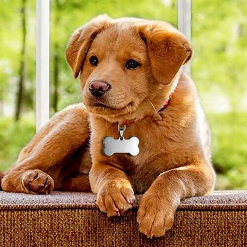 Stainless Steel Pet ID Tag Keychain Pet ID Name for Cat Puppy Dog Collar Tag Pendant Keyring Bone Pet Accessories Blank