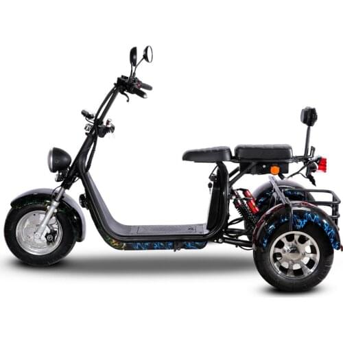 Adult Electric Three Wheel Tricycle With Long Endurance Dual Disc Brake Large Motor Aluminum Alloy Wide Tire