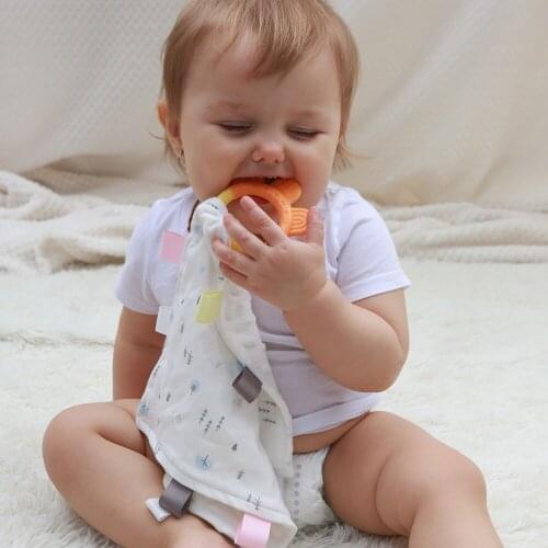 LuMengYi Minky Comfort Towel Cotton Stuff With Baby Silicone Teether As Bibs Face Bath Towel Handkerchief Sapling For Girl Boy