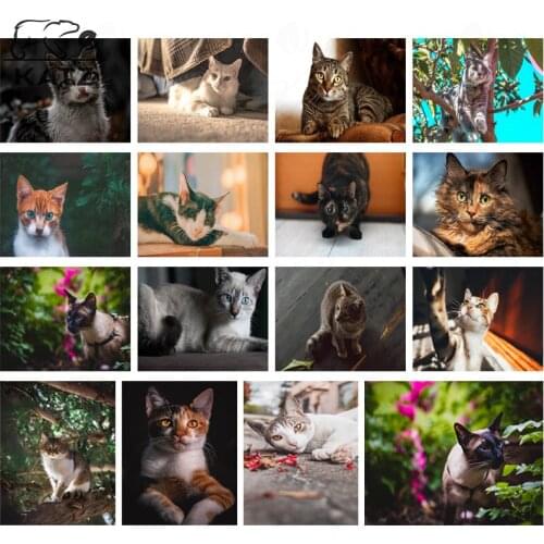 Big Eyes Gentleman Cat Diamond Painting Cross Stitch Modern Animal Pictures Diamond Mosaic Embroidery Diy Gift Decoration