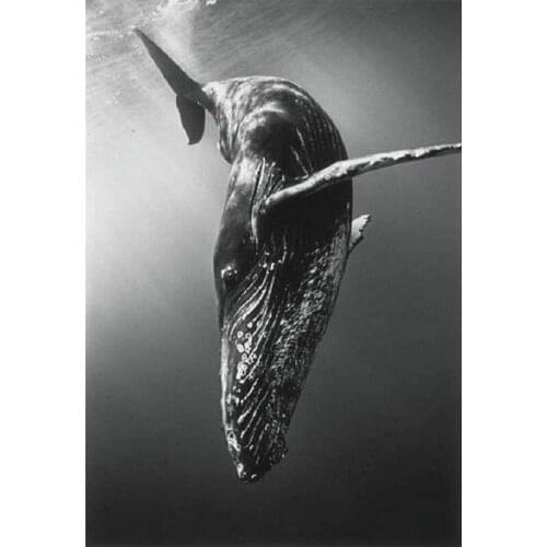 5D round Diamond Mosaic picture Diamond Painting Cross Stitch kit Home Decor Water fish Diamond Embroidery home decoration