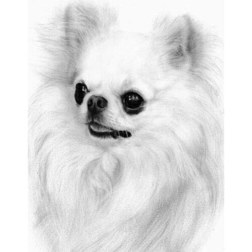 Full Square/Round Drill 5D DIY Diamond Painting chihuahua dog Embroidery Cross Stitch Rhinestones mosaic Home Decoration FG1892