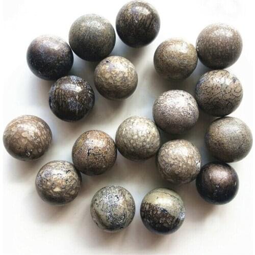 Drop Shipping 2pcs Natural Dinosaur Bone Fossil Crystal Ball Sphere Madagascar Healing Decoration Natural Stones And Crystals