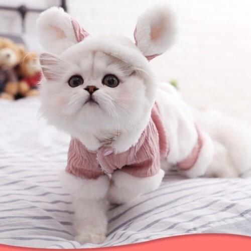 New Years Autumn Winter Sweater Warm Dog Cat Clothes Kitten Clothes Lovely Vest Cute Cat Costume