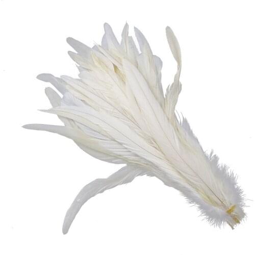 10-16 Inches Rooster Feathers Crafts Coque Cock Tail Feather Wedding Home Party Decoration Dyed Colorful Plume 10Pcs Wholesale