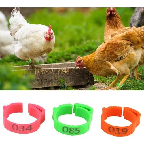 100PCS Chicken Leg Ring Adjustable Size Poultry Leg Buckle Digital Label Buckle Ring for Chicken Duck Pigeon Farming Distinction