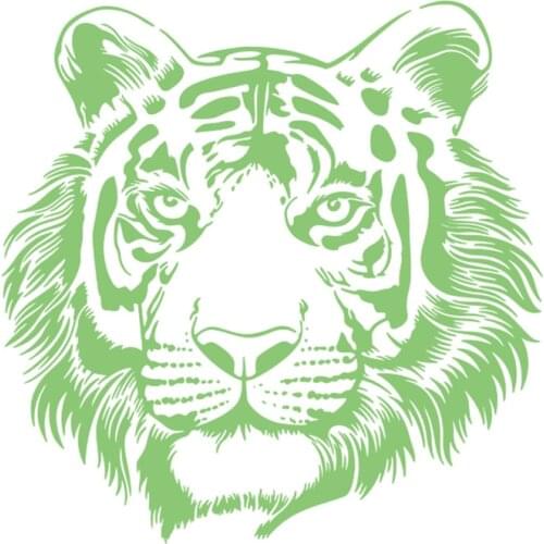 Logo Luminous Patch Tiger head Iron Ons Patches for Clothing Thermal Transfer Fluorescence Stickers for Clothes Free Shipping