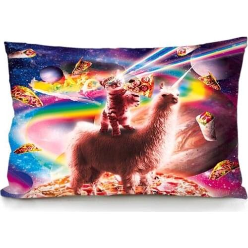 Pizza Cat Starry sky Throw Pillow Case Food Funny Pillowcase Creative Hipster DJ Cat Galaxy Pizza 20x30 Inches Decorative Pillow