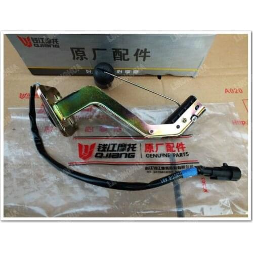 Motorcycle Accessories Benagli Silver Blade BJ250T-8 Level Sensor